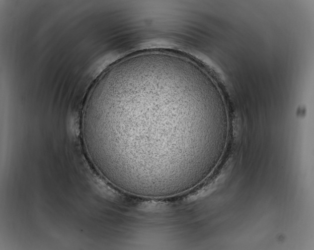 X0000101150929200807071145