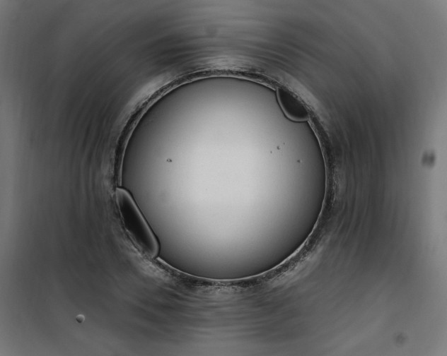 X0000101150930200807071145