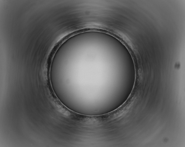 X0000101150931200807071145