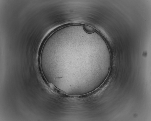 X0000101150932200807071145