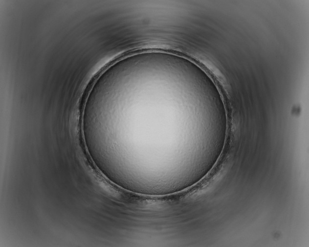 X0000101150933200807071145