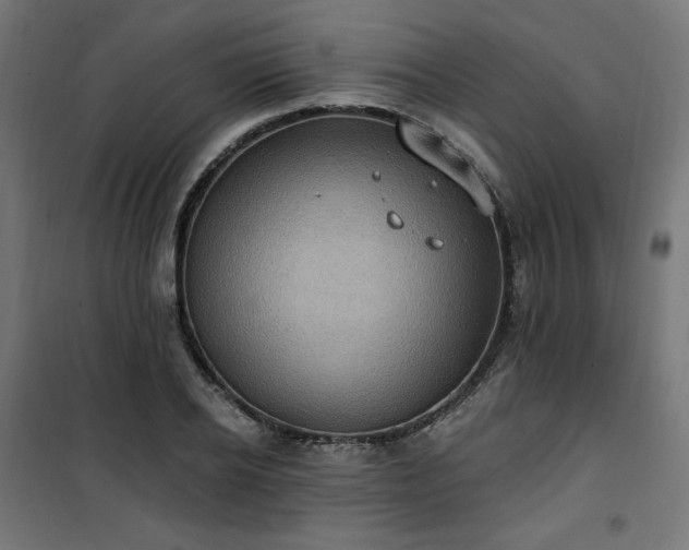 X0000101150934200807071145