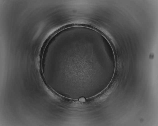 X0000101150935200807071145