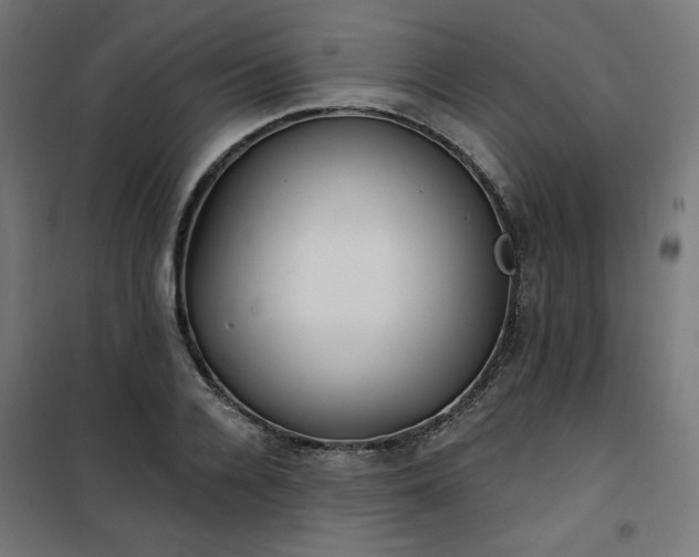 X0000101150936200807071145