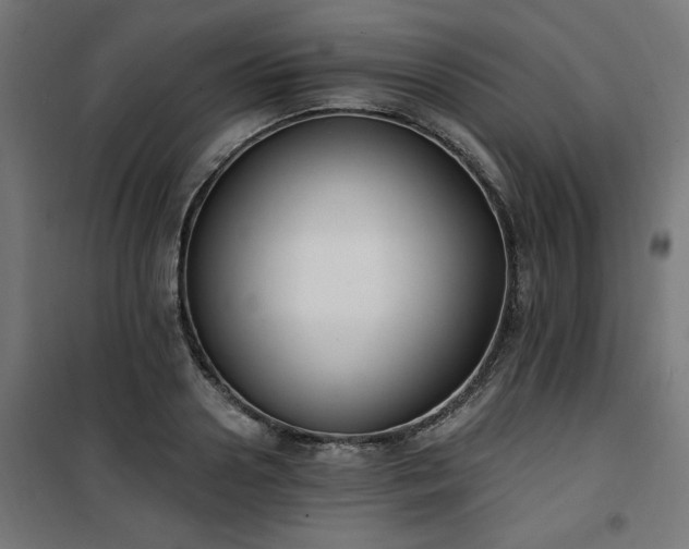 X0000101150938200807071146