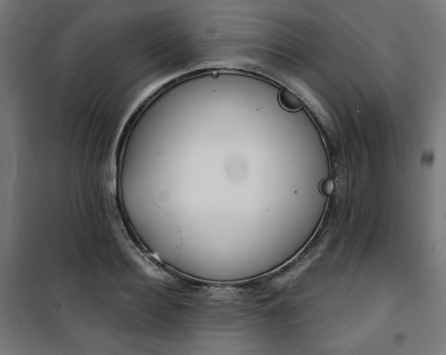 X0000101150940200807071146