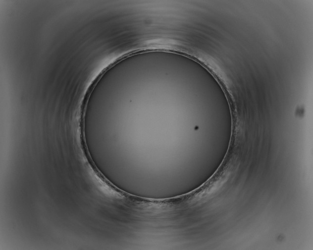 X0000101150941200807071146