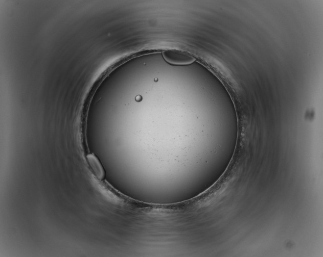 X0000101150942200807071146