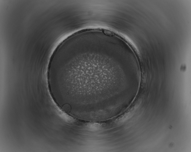 X0000101150943200807071146