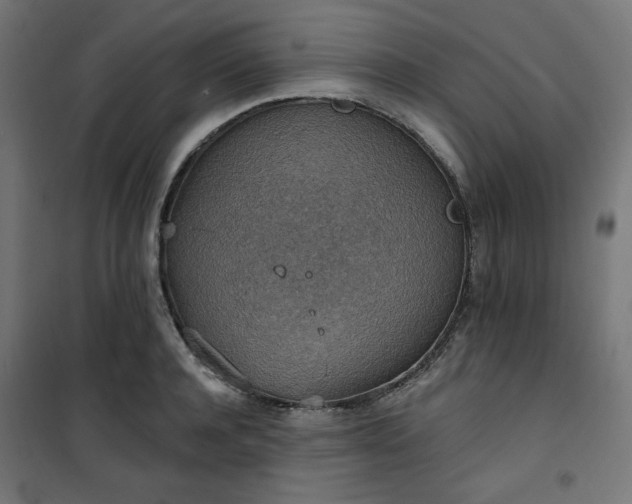 X0000101150944200807071146