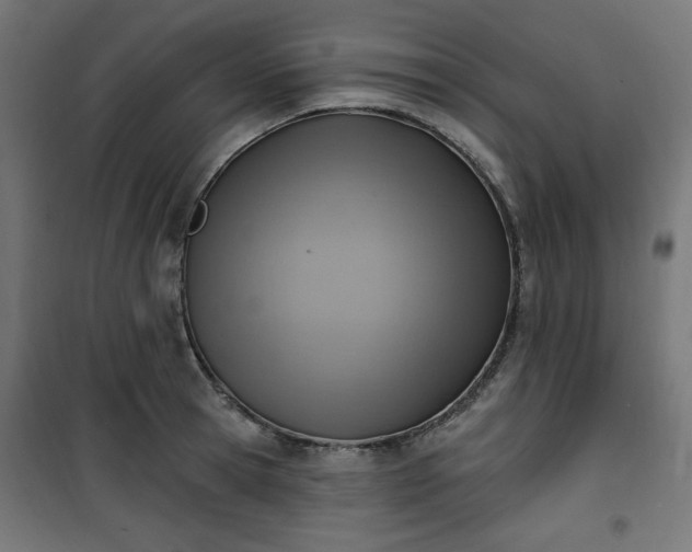 X0000101150945200807071146