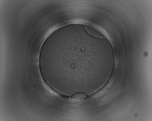 X0000101150946200807071146