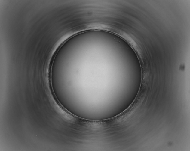 X0000101150947200807071146