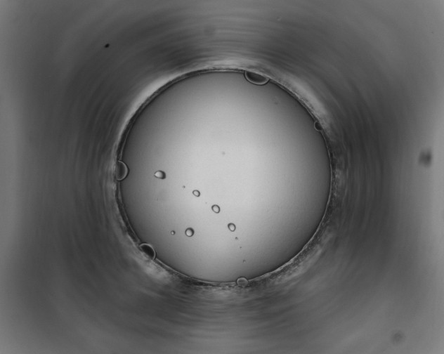 X0000101150948200807071146