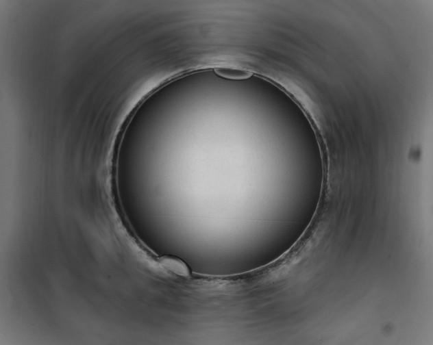 X0000101150949200807071146