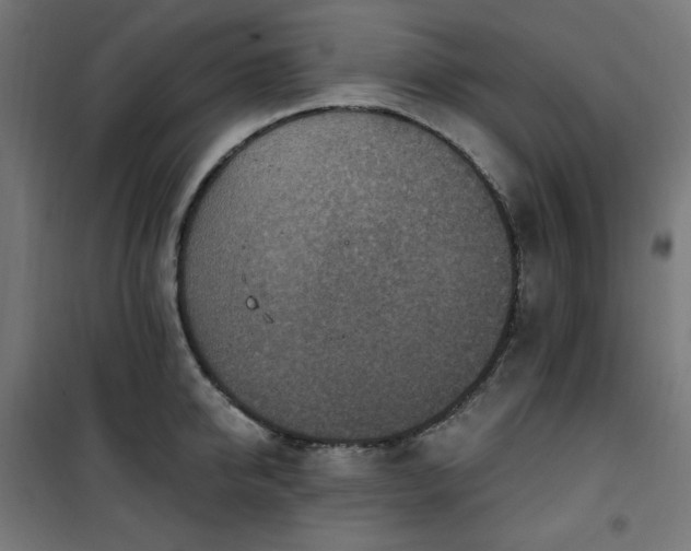 X0000101150950200807071146