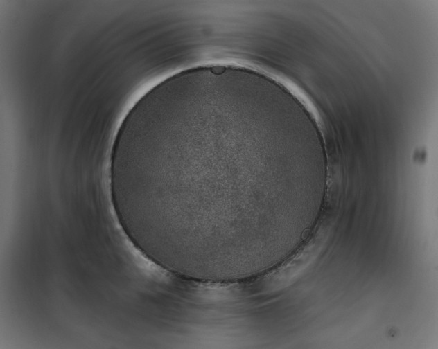 X0000101150951200807071146