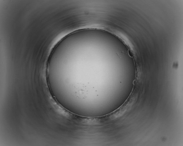 X0000101150952200807071146