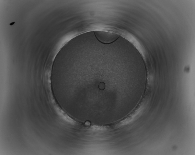 X0000101150954200807071146