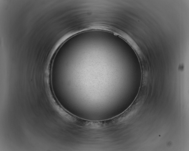 X0000101150955200807071146