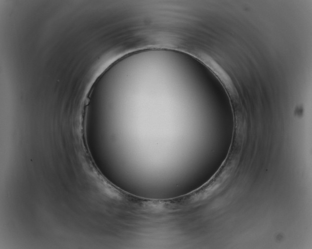 X0000101150956200807071146