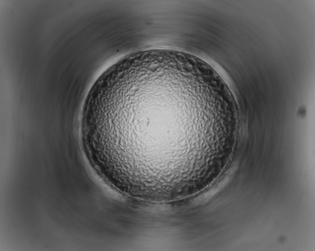 X0000101150957200807071146