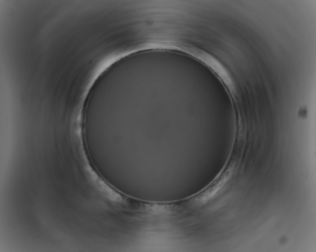 X0000101150958200807071146