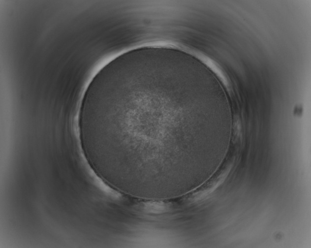 X0000101150959200807071146