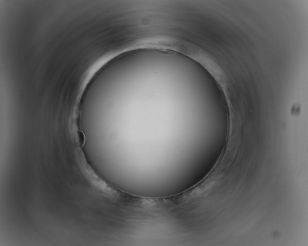 X0000101150960200807071146