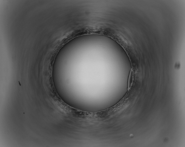 X0000101150961200807071145