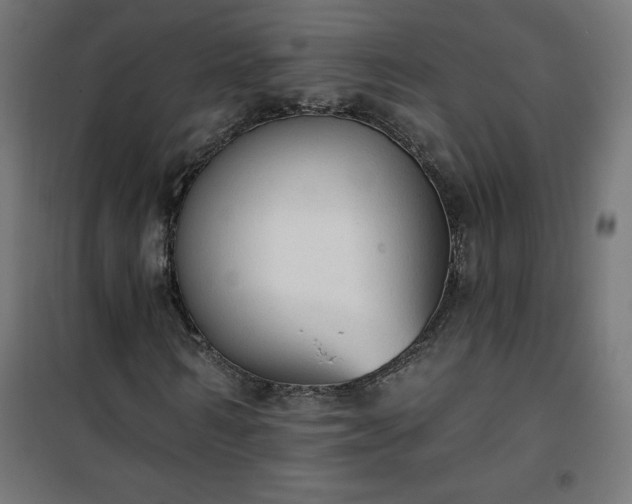 X0000101150962200807071145