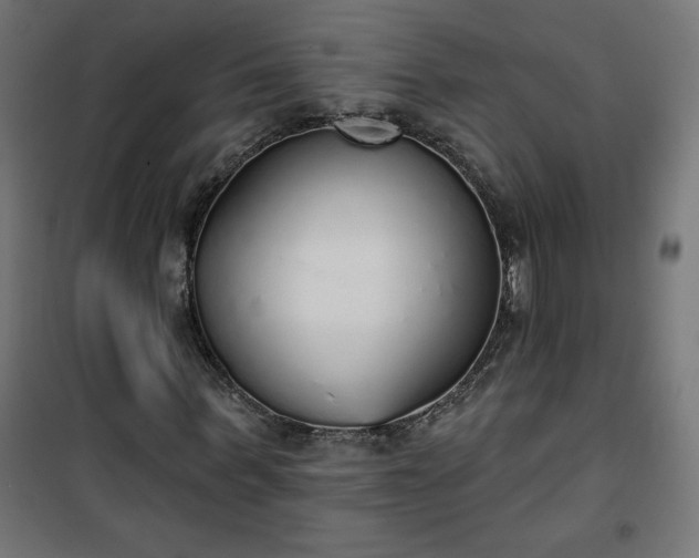 X0000101150963200807071145