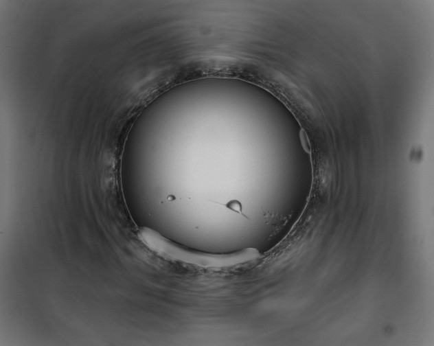 X0000101150964200807071145