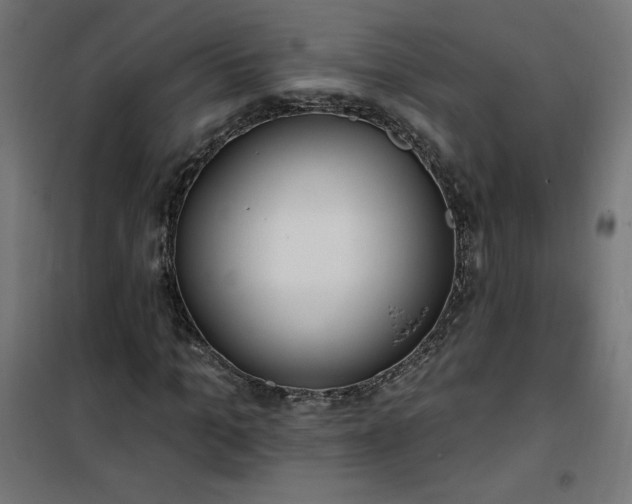 X0000101150965200807071145