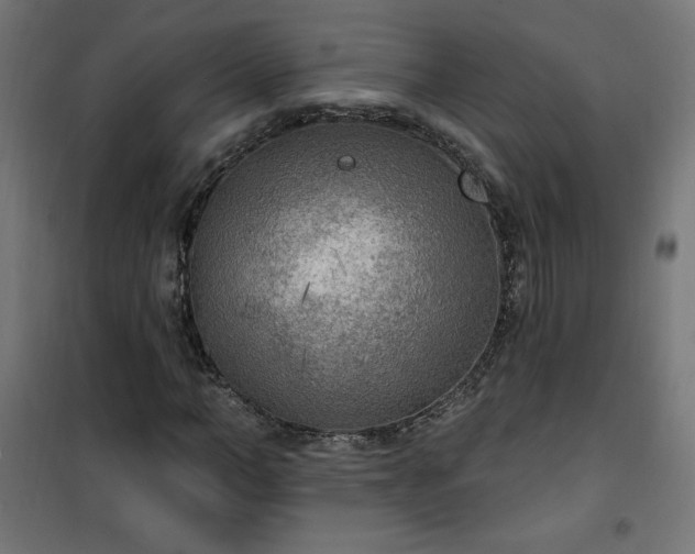 X0000101150966200807071145