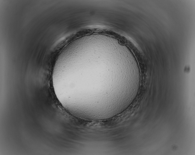 X0000101150967200807071145