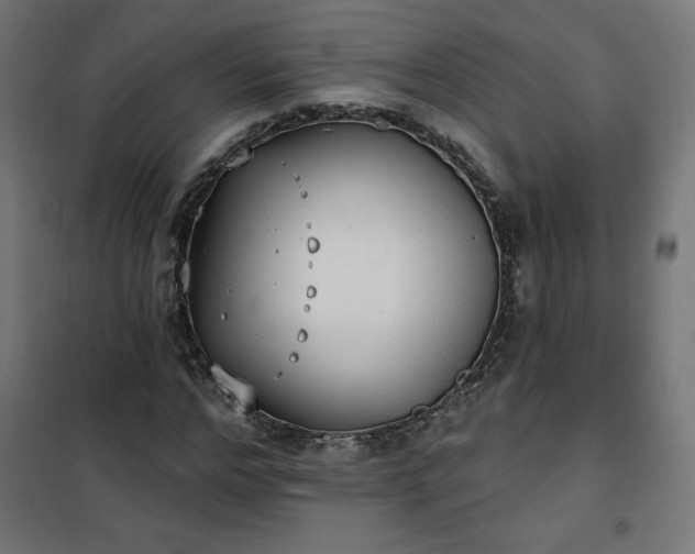 X0000101150968200807071145