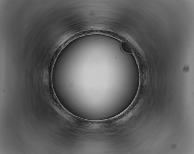 X0000101150969200807071145