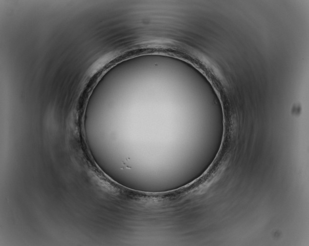 X0000101150970200807071145