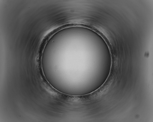 X0000101150971200807071145