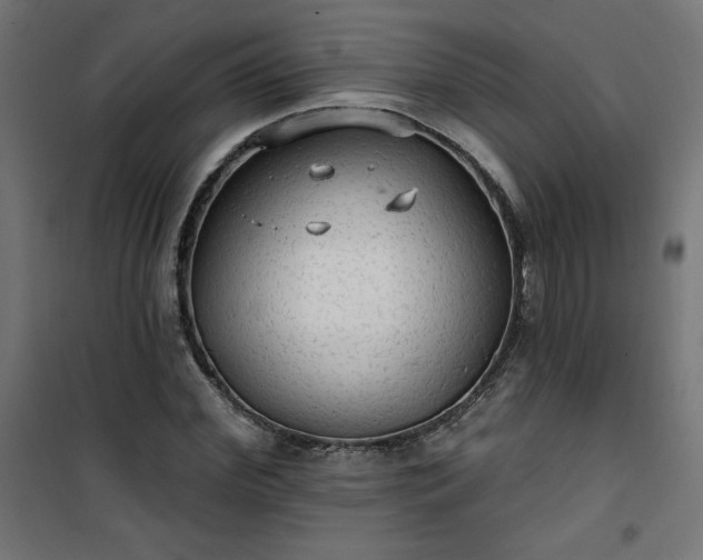 X0000101150972200807071145