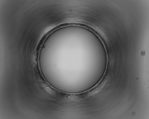 X0000101150974200807071145