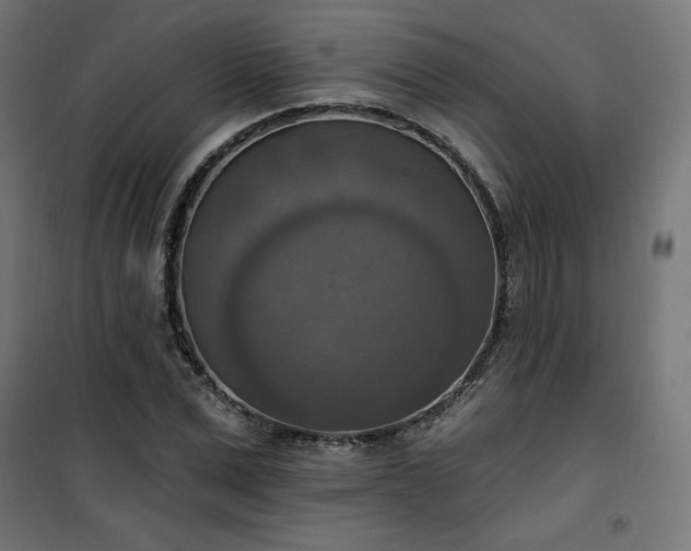 X0000101150975200807071145