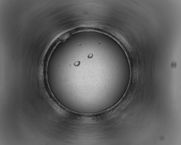 X0000101150976200807071145