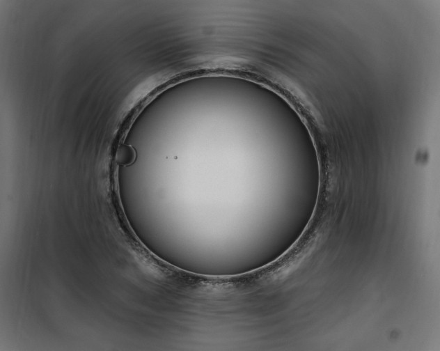 X0000101150978200807071145