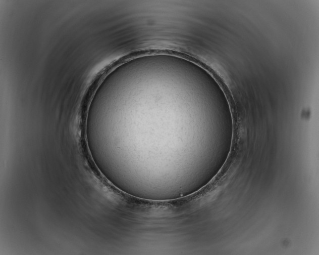 X0000101150979200807071145