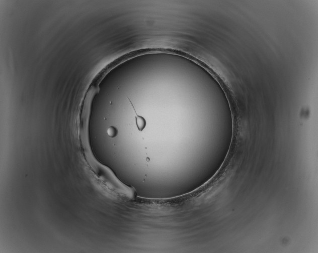 X0000101150980200807071145