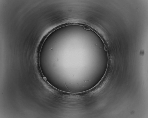 X0000101150981200807071145