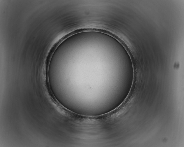 X0000101150982200807071145