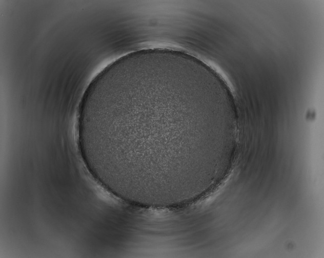 X0000101150983200807071145